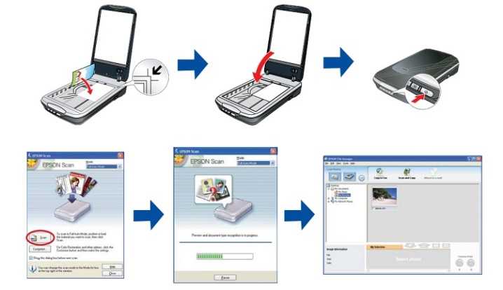 Простые и понятные способы отсканировать документы с принтера на компьютер