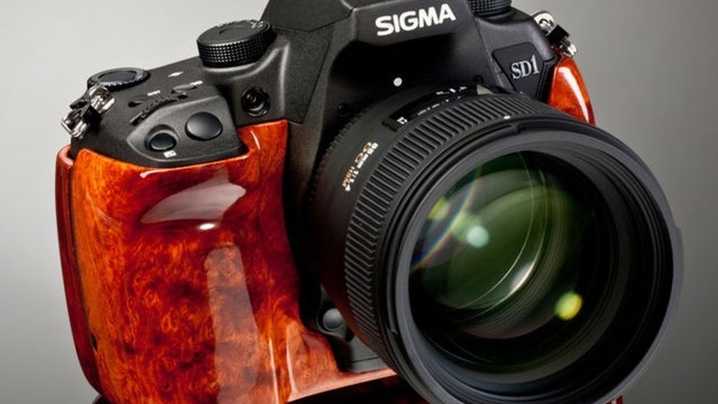 Фотоаппараты с суперзумом: обзор фотоаппаратов с большим и мощным зумом