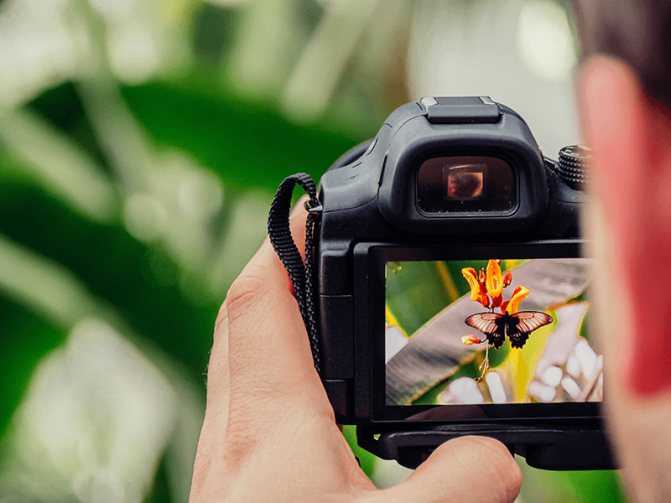Топ лучших фотоаппаратов со сменными объективами 2021 года