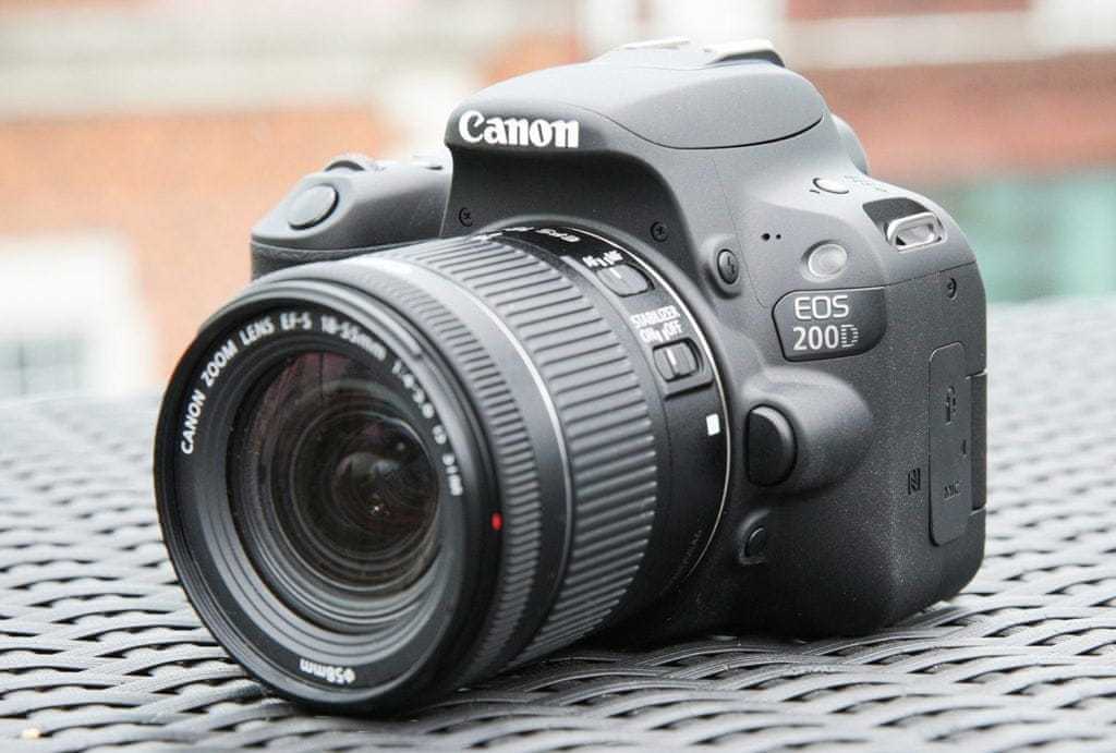 Зеркальные фотоаппараты для начинающих (31 фото): лучшая «зеркалка» для фотографа-новичка. как выбрать недорогую камеру?