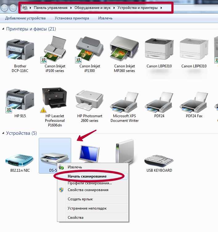 Как пользоваться сканером: как сканировать и сохранить документ