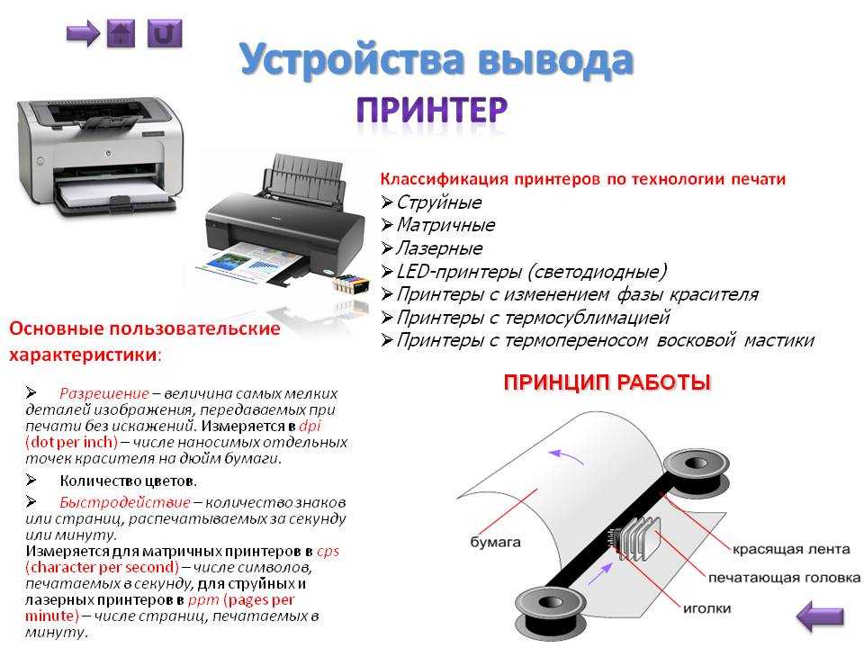 Что такое ксерокс, его назначение, устройство, чем он отличается от сканера и принтера