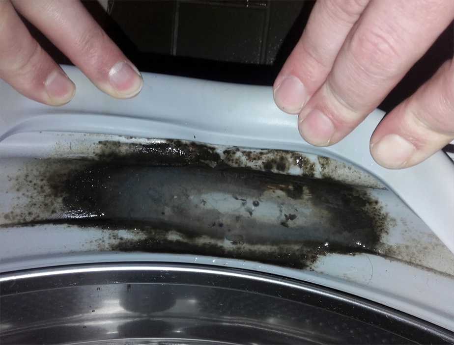Почистить резинку в стиральной машине: как очистить манжету от грязи, чем отмыть резиновый уплотнитель