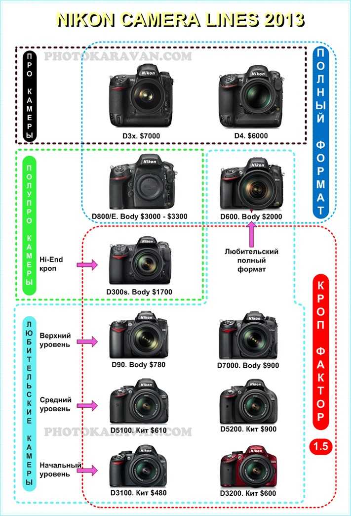 10 лучших фотоаппаратов для видео