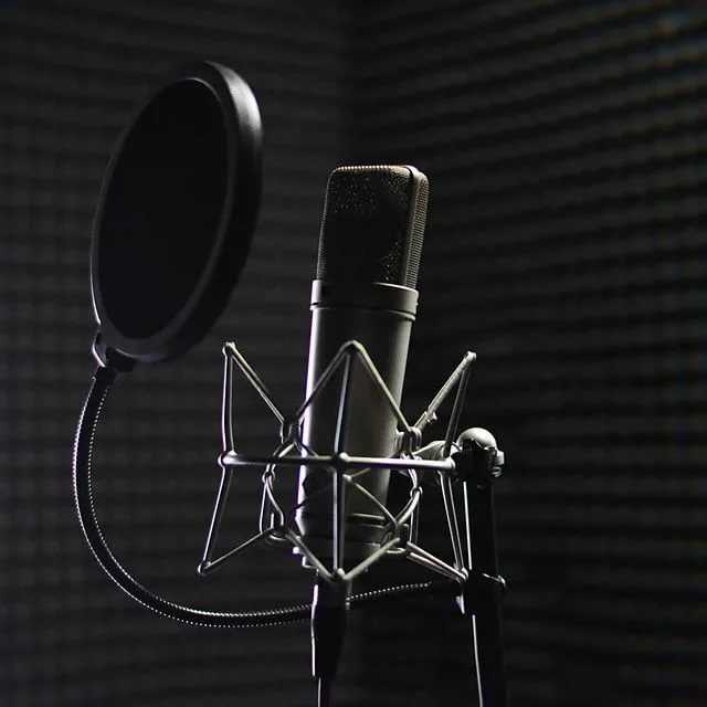 14 лучших студийных конденсаторных микрофонов для записи вокала/голоса: рейтинг 2020/2021