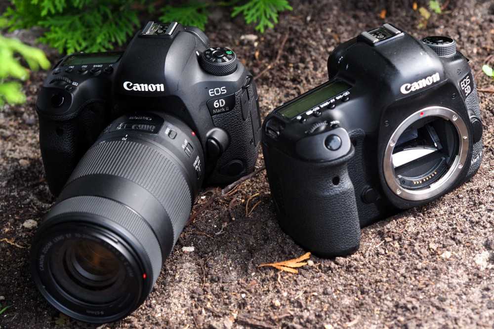 Лучшие зеркальные фотоаппараты (27 фото): рейтинг бюджетных «зеркалок» для любителей. как их выбрать?