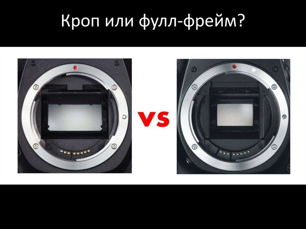 Матрица камеры с объективом. Матрица фотоаппарата кроп. Кроп фактор фотокамер Sony. Кроп-матрица + фф-объектив. Кроп матрица и полный Кадр.