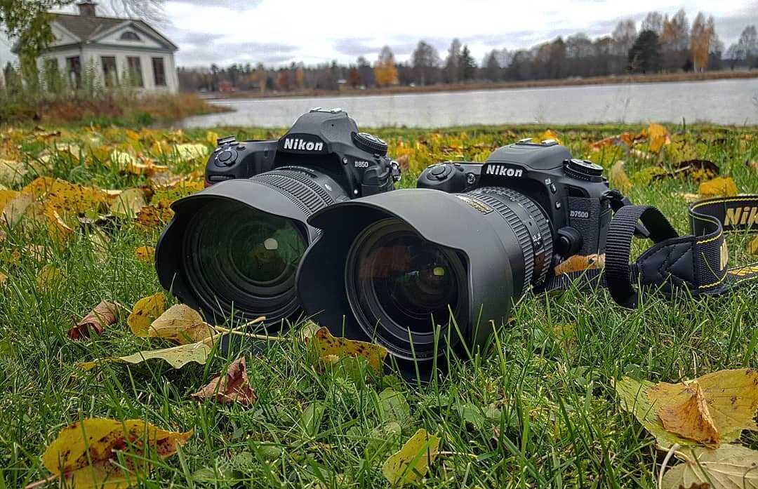 Макрообъективы - объективы для fujifilm | гид покупателя на prophotos.ru