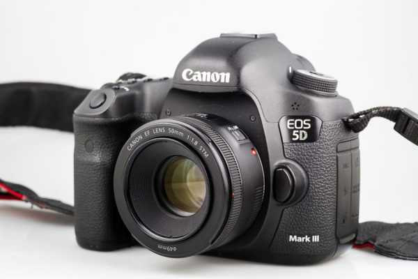 Лучшие фотоаппараты для начинающих фотографов: обзор моделей