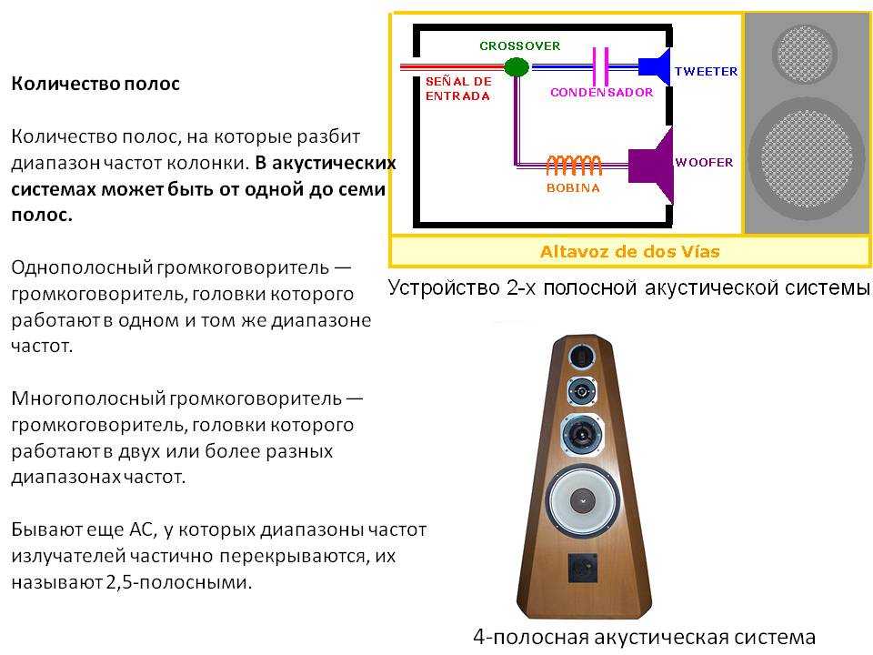 Двухполосная и трехполосная акустическая система – сравнение по всем параметрам