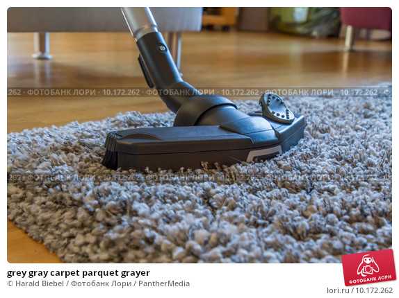 Моющий пылесос для ковров: выбор, плюсы и минусы