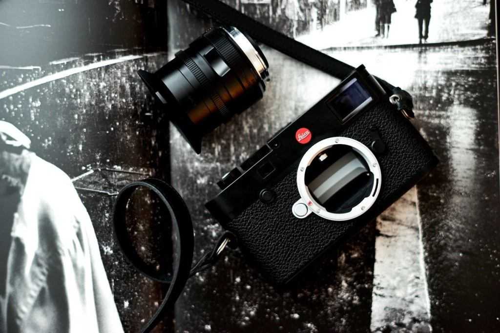 Пленочные фотоаппараты olympus (13 фото): особенности фотоаппаратов, популярные модели с пленкой