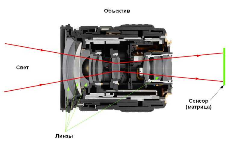 Как устроен и принцип работы зеркального фотоаппарата