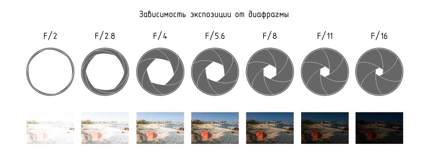 Диафрагма фотоаппарата. Выдержка ИСО диафрагма экспозиция. Диафрагма Выдержка светочувствительность. Что такое ИСО Выдержка и диафрагма в фотоаппарате. Параметры диафрагмы фотоаппарата.