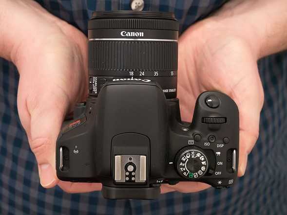 Рейтинг лучших зеркальных фотоаппаратов 2020 года: крутые камеры, которые стоят своих денег