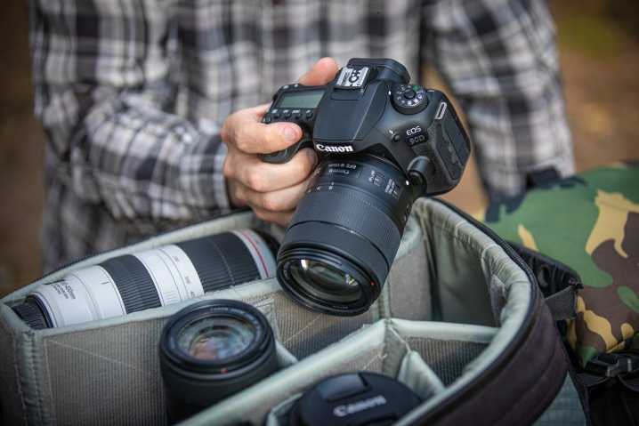 Как выбрать зеркальный фотоаппарат для начинающих фотографов: выбор недорогого и хорошего, топ для новичка, тесты, сравнение
