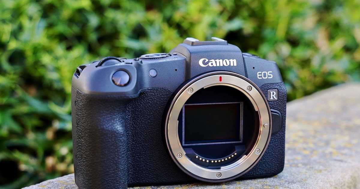 Лучший фотоаппарат для любителя 2021: как выбрать, рейтинг