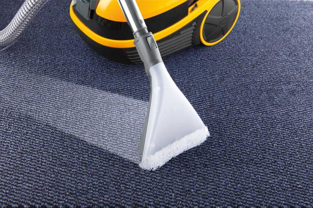Пылесосы для ковров: как выбрать моющий профессиональный пылесос для чистки ковролина? особенности моделей для мойки мягкой мебели