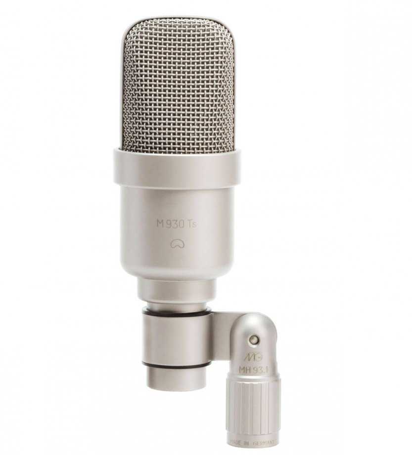 Профессиональные микрофоны: лучшие модели и советы по выбору