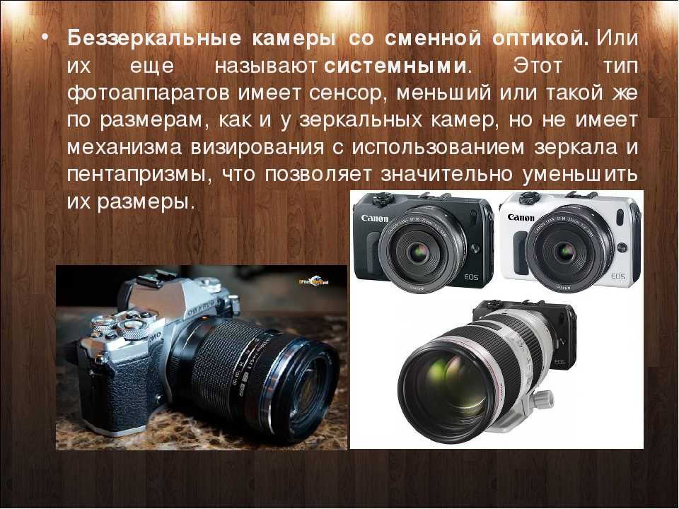Фотоаппараты olympus (39 фото): pen, другие зеркальные и беззеркальные модели, выбор дистанционной кнопки спуска, инструкция и отзывы