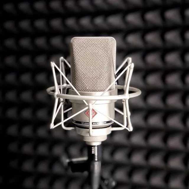 Профессиональный микрофон: вокальные модели для пения, как выбрать, лучшие беспроводные и проводные микрофоны