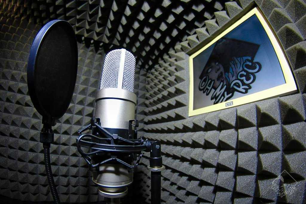 Лучшие микрофоны для записи голоса и музыкальных инструментов