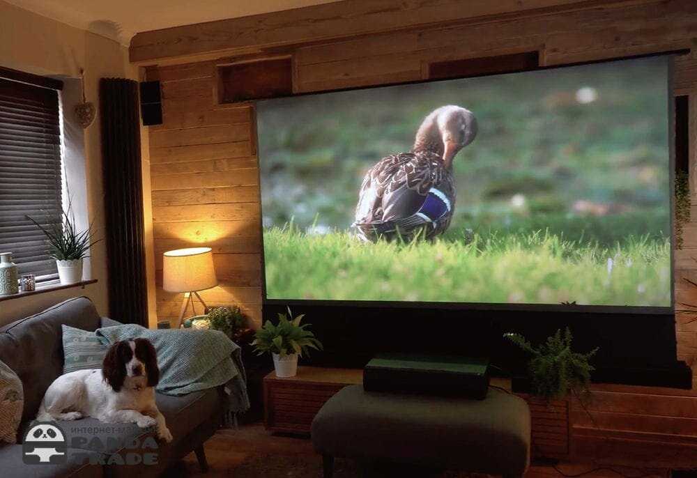 4k проектор вместо телевизора – имеет ли смысл
