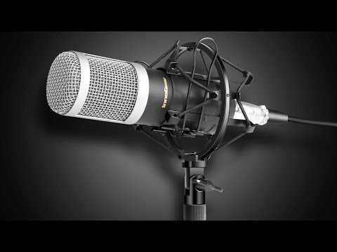 Как выбрать микрофон для записи видео и подкастов? - the roco
