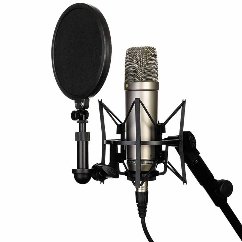 Рейтинг топ 7 лучших студийных микрофонов: какой выбрать, характеристики, отзывы, цены