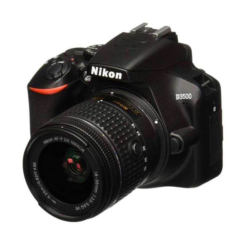 Профессиональный фотоаппарат - лучшие популярные модели для отменной съемки