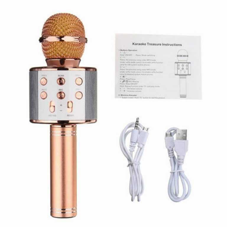Беспроводные караоке-микрофоны с динамиком: со встроенной bluetooth-колонкой и флешкой. как пользоваться? рейтинг лучших