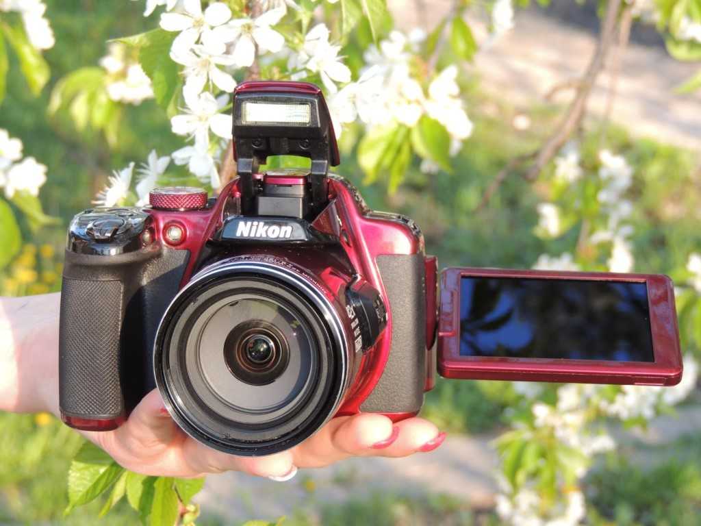 Лучшие полнокадровые фотоаппараты 2021 года